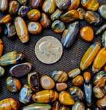 SM. Blue & Gold Tiger's Eye Crystal Tumbles 3oz Bag