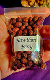 Fresh Cut & Dried Organic Hawthorne Berry 🍓🫐🌿🪵