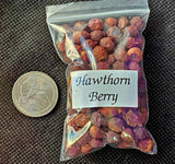 Fresh Cut & Dried Organic Hawthorne Berry 🍓🫐🌿🪵