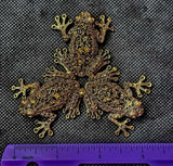 Assorted Metal Triple Frog Crystal Sphere Holder 🔮✨🐸⚜️