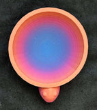 LG. Rainbow 3D Printed Turtle Bowl 😍🐢🌈