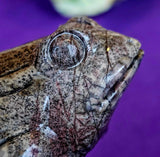 LG. Grey & Purple Jasper Crystal Frog Carving 💜🐸🩶