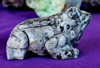 LG. Shell Jasper Crystal Frog Carving 🐸🖤🤍🐚