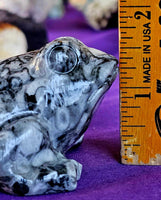 LG. Shell Jasper Crystal Frog Carving 🐸🖤🤍🐚