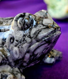 LG. Shell Jasper Crystal Frog Carving 🐸🖤🤍🐚