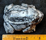 LG. Shell Jasper Crystal Frog Carving 🐸🖤🤍🐚