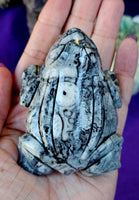 LG. Shell Jasper Crystal Frog Carving 🐸🖤🤍🐚