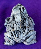 LG. Shell Jasper Crystal Frog Carving 🐸🖤🤍🐚