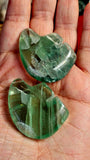 Fluorite Crystal Zuni Bear Carving 💚🐻🐨💜✨