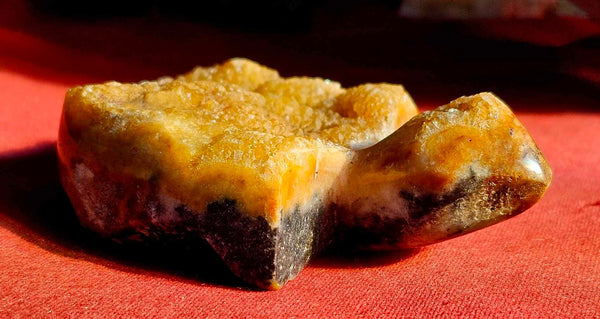 LG. Heat Treated Citrine Druzy Crystal Turtle Carving ✨🐢💛