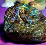 LG. Labradorite Crystal Flower on Base ✨🌈🌺🪷💙