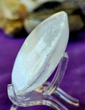Selenite Crystal Palmstone 💎🤍✨