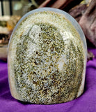 MD. Ocean Jasper Crystal Freeform 🪸🤩💜🌊