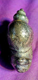 Pyrite Snail Carving 🎖️🐌🥹⚜️