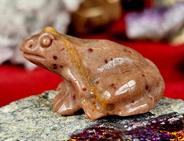 Ocean Jasper Crystal Frog Figurine 🐸 🪸🌊