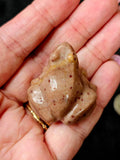 Ocean Jasper Crystal Frog Figurine 🐸 🪸🌊