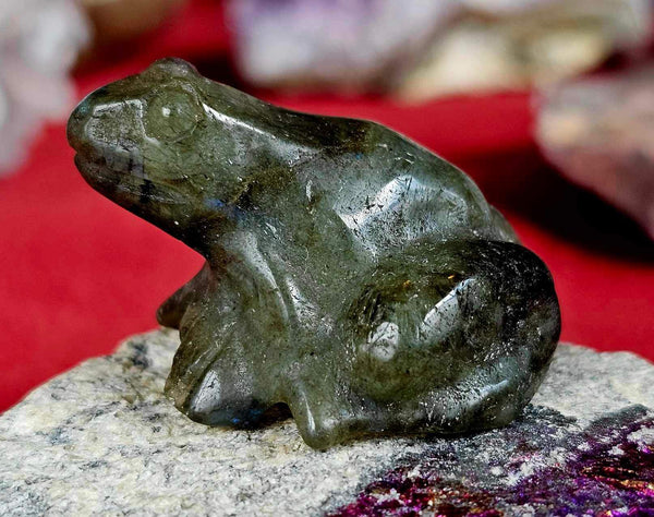 Labradorite Crystal Frog Figurine 🐸