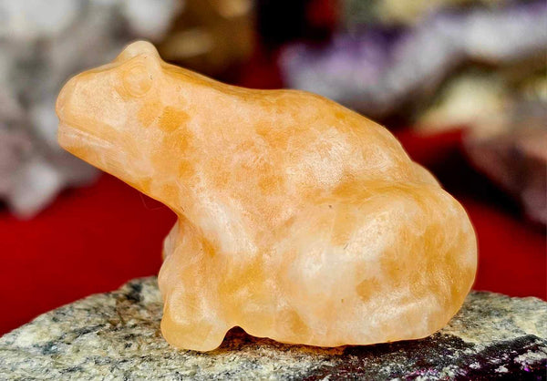 Orange Calcite Crystal Frog Figurine 🍊🐸🧡