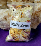 Fresh Cut Dried Organic White Lotus Herb 🌿 🪷🌰 🤍