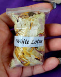 Fresh Cut Dried Organic White Lotus Herb 🌿 🪷🌰 🤍