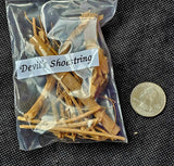Fresh Cut Dried Organic Devil's Shoestring Herb 🌿🌰😈👟