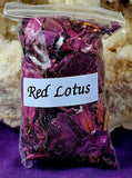 Fresh Cut & Dried Organic Red Lotus Herb 🌿 🌰 🪷♥️
