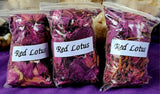 Fresh Cut & Dried Organic Red Lotus Herb 🌿 🌰 🪷♥️