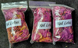 Fresh Cut & Dried Organic Red Lotus Herb 🌿 🌰 🪷♥️
