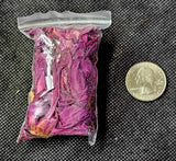 Fresh Cut & Dried Organic Red Lotus Herb 🌿 🌰 🪷♥️