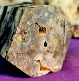 LG. Ocean Jasper w/Druzies Crystal Tower 💚 ✨🪸🌊