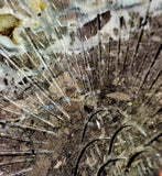 LG. Grey Jasper w/Druzy Crystal Peacock on Black Metal Display Stand 🤍🦚✨🦚🖤🩶