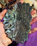 LG. Grey Jasper w/Druzy Crystal Peacock on Black Metal Display Stand 🤍🦚✨🦚🖤🩶