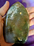 MD. Ocean Jasper Crystal Freedom 🤍🪸🌊💚