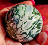 Tree Agate Crystal Sphere 🌳🔮🤍 57 MM