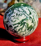 Tree Agate Crystal Sphere 🌳🔮🤍 57 MM