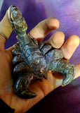 LG. Ocean Jasper Crystal Scorpion Carving #2 💜🦂🪸🌊 ♥️