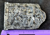 LG. Larvikite Crystal Tombstone 🩶🪦👻🖤