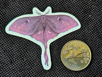 Pink Moon Moth Enchanted Sticker