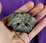 Raw Pyrite Pet Rock Buddy 🥹🪨⚜️💰