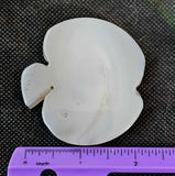 Blue Agate Crystal Apple Carving w/Druzy ✨🍎🍏