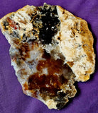 MD. Petrified Wood Slab 🪵❤️🍁🪓