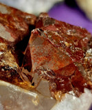 Red Capped Hematoid Quartz Crystal Pet Rock Carving 🪨♥️🥰🍒