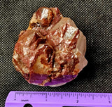 Red Capped Hematoid Quartz Crystal Pet Rock Carving 🪨♥️🥰🍒