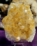Heat Treated Citrine Crystal Cluster