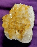 Heat Treated Citrine Crystal Cluster