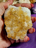 Heat Treated Citrine Crystal Cluster