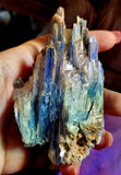 Raw Kyanite Crystal Specimen