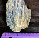 Raw Kyanite Crystal Specimen