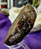 Brazilian Agate Cut/Raw Crystal Geode Half 🪨✨🤩💎