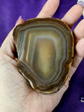 Brazilian Agate Cut/Raw Crystal Geode Half 🪨✨🤩💎